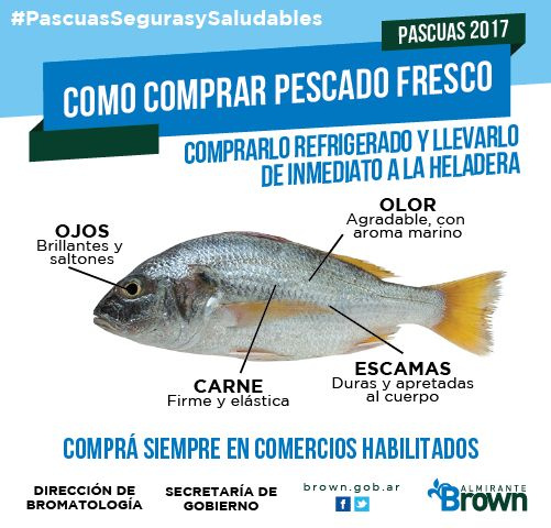 Recomendaciones para la compra y manipulación de pescados y mariscos